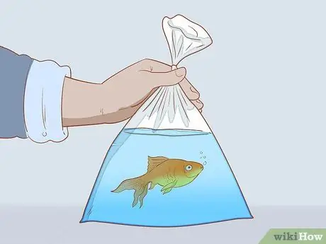 Добавление рыбы в новый аквариум, шаг 7