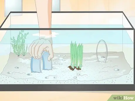 Приучите рыбу к трюкам Шаг 8