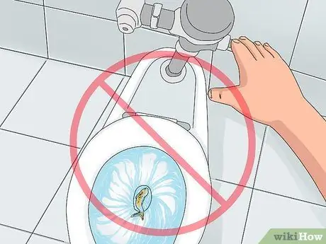 Определите, мертва ли ваша рыба Шаг 8