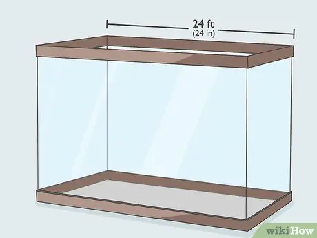 Наслаждайтесь домашними рыбками, шаг 1