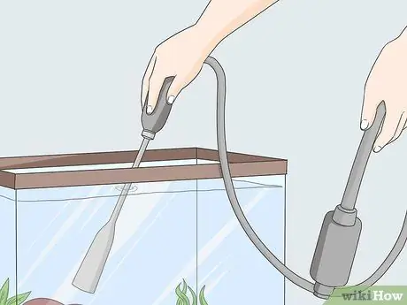 Наслаждайтесь домашними рыбками Шаг 14