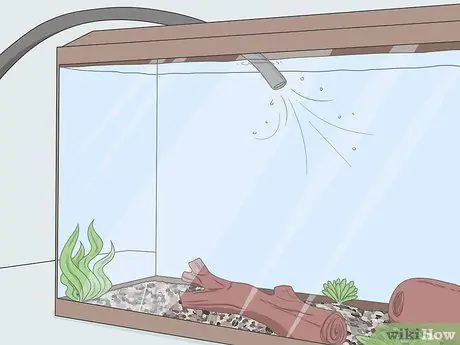 Наслаждайтесь домашними рыбками Шаг 15