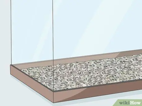 Наслаждайтесь домашними рыбками, шаг 2