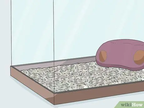 Наслаждайтесь домашними рыбками, шаг 3