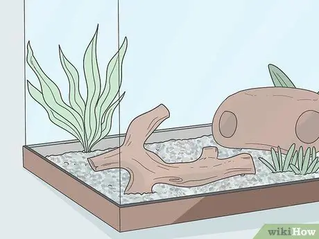 Наслаждайтесь домашними рыбками, шаг 4