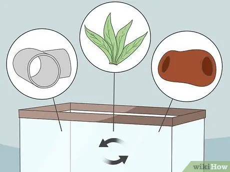 Наслаждайтесь домашними рыбками Шаг 6