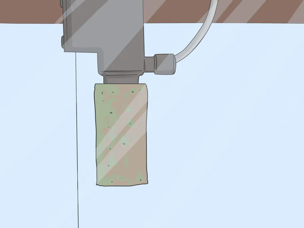 3 способа насладиться домашними рыбками