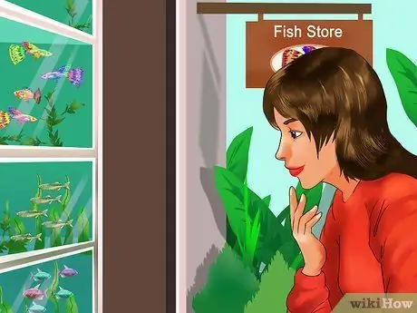 Выберите рыбу для пресноводного аквариума Шаг 7