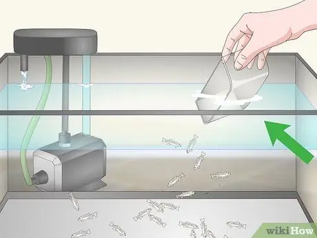 Выращивание форели Шаг 12