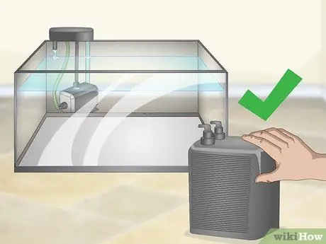 Выращивание форели Шаг 2