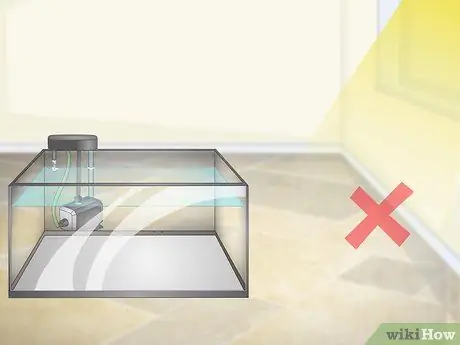 Выращивание форели Шаг 3