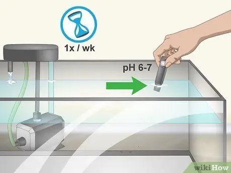 Выращивание форели Шаг 4