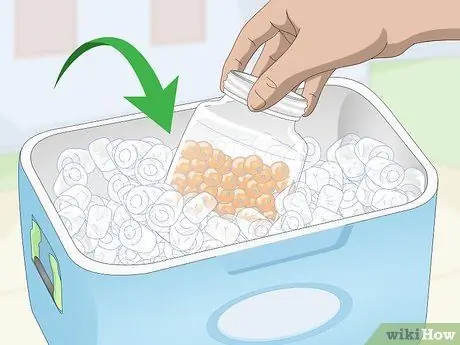 Выращивание форели Шаг 5