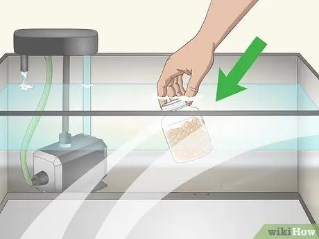 Выращивание форели Шаг 6