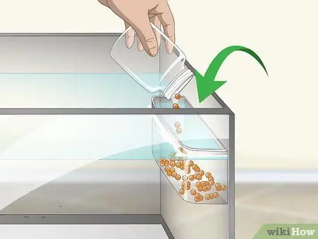 Выращивание форели Шаг 7