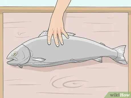 Кожа рыбы Шаг 8