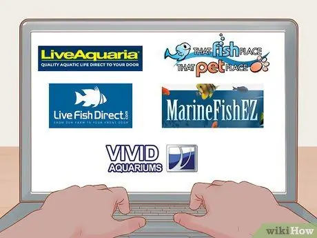 Купить Fish Online Шаг 1