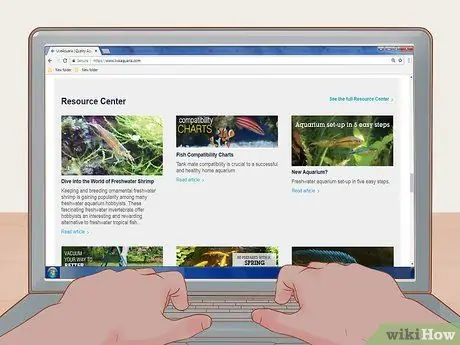 Купить Fish Online Шаг 2