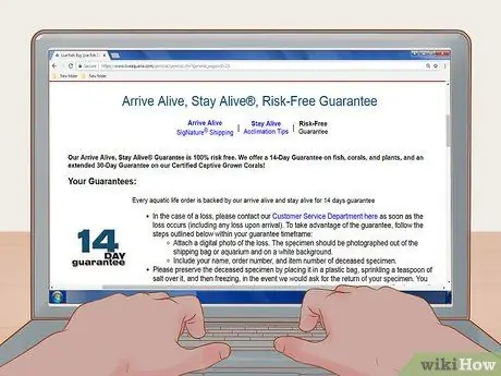 Купить Fish Online Шаг 3