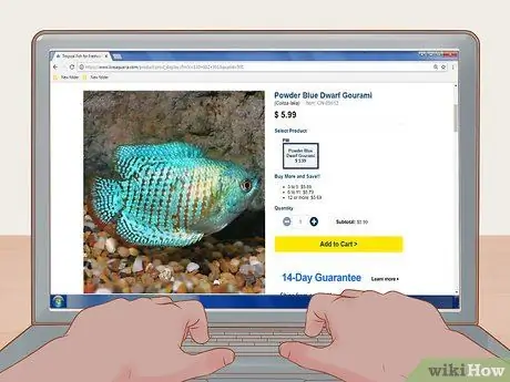 Купить Fish Online Шаг 6