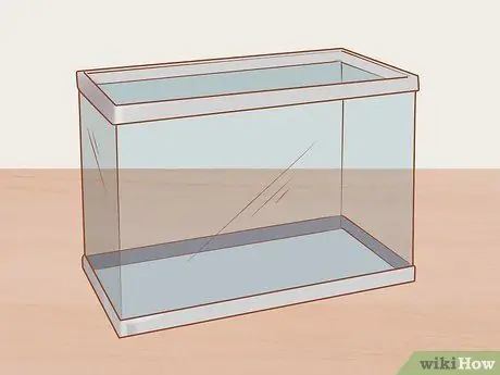 Купить Fish Online Шаг 9