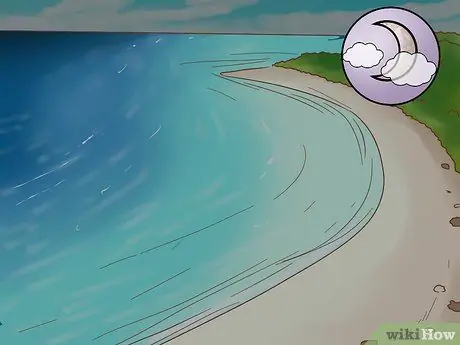 Найти тигровую акулу Шаг 6