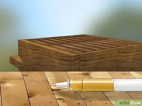 Определение пчелиной матки Шаг 12