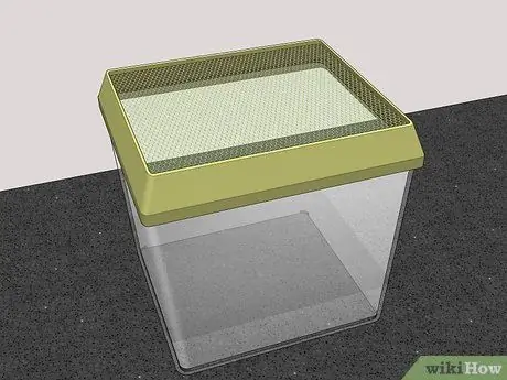 Позаботьтесь о божьей коровке Шаг 7