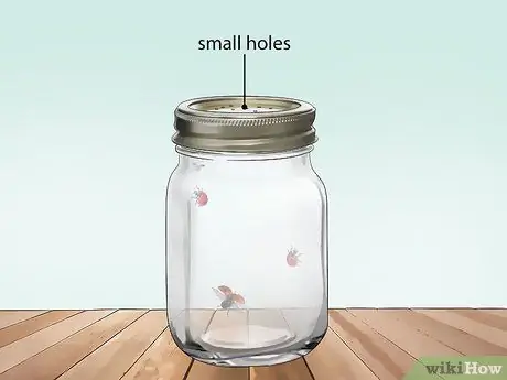 Позаботьтесь о божьей коровке Шаг 6