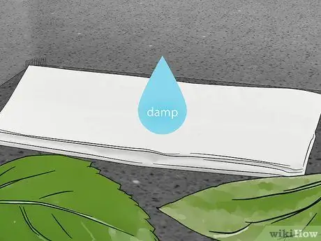 Позаботьтесь о божьей коровке Шаг 10