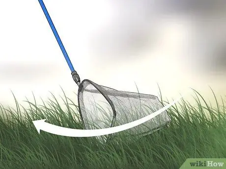 Позаботьтесь о божьей коровке Шаг 3