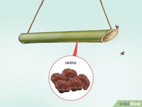 Позаботьтесь о божьей коровке Шаг 4