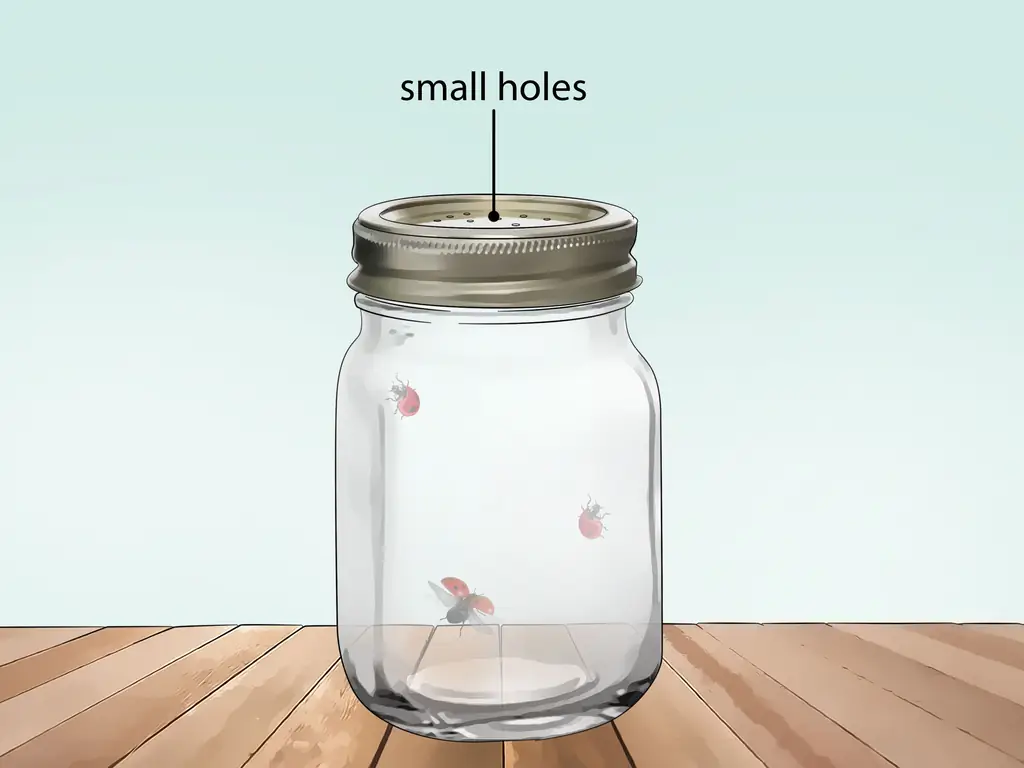 Как позаботиться о божьей коровке: 11 шагов (с иллюстрациями)