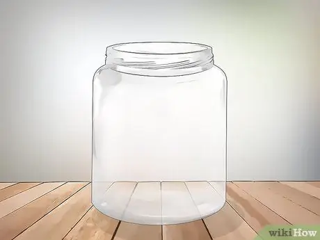 Держите домашнее животное летать Шаг 1