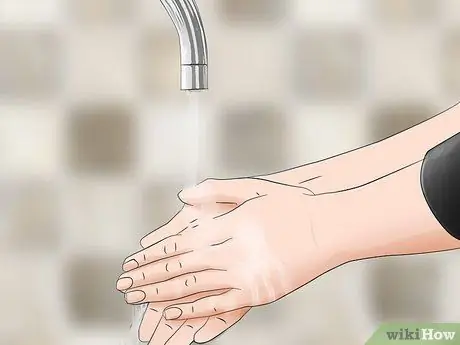 Keep a Pet Fly Шаг 12