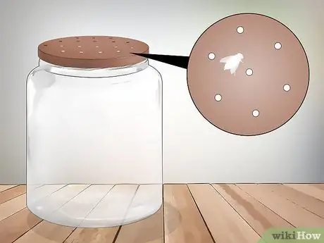 Держи питомца в полете, шаг 2