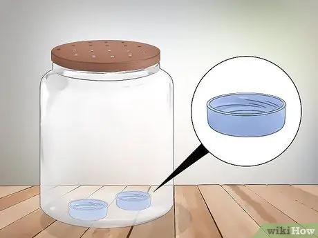 Держите питомца в полете Шаг 3