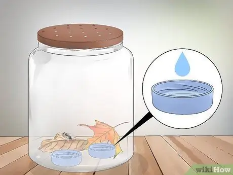 Keep a Pet Fly Шаг 9