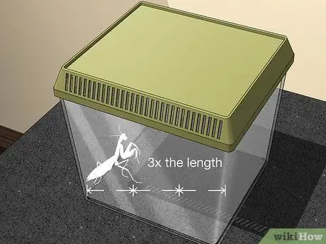 Позаботьтесь о богомоле Шаг 1