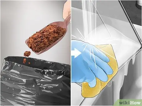 Позаботьтесь о богомоле Шаг 13