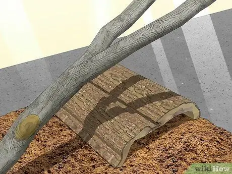 Позаботьтесь о богомоле Шаг 3