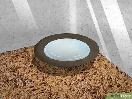 Позаботьтесь о богомоле Шаг 4