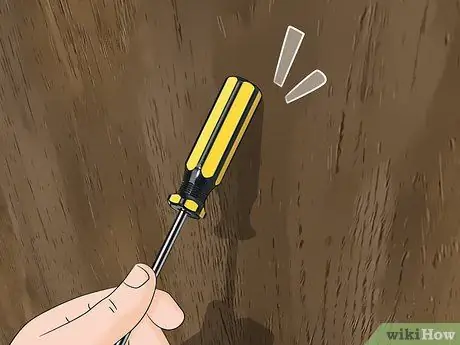 Определение личинок термитов Шаг 6