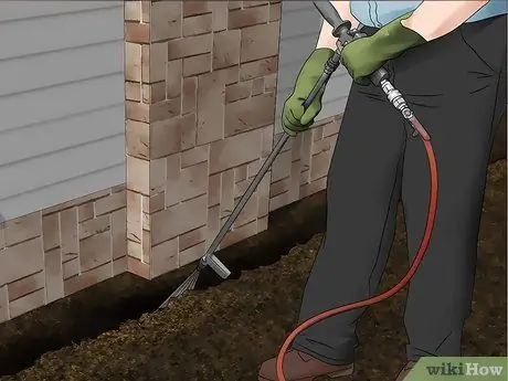 Определение личинок термитов Шаг 8