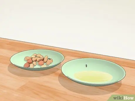 Поймать муху руками Шаг 3