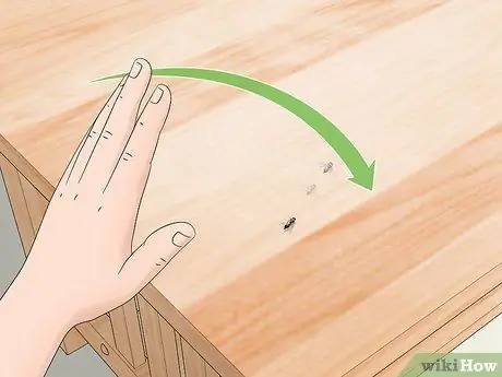 Поймать муху своими руками Шаг 6