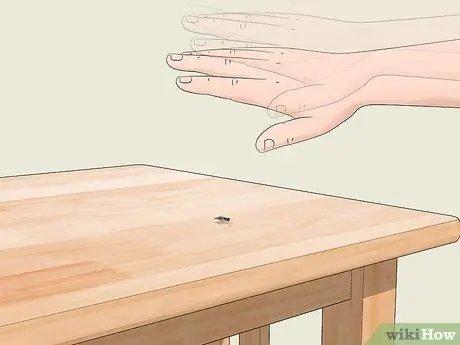 Поймать муху руками Шаг 7