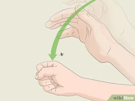 Поймать муху руками Шаг 8