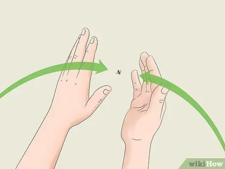 Поймать муху руками Шаг 9