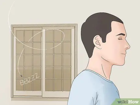 Поймать муху руками Шаг 1